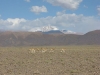 jujuy