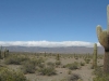 parque-nacional-los-cardone
