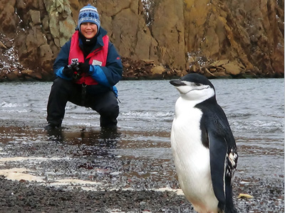 Antartida - Sandra observa pinguim de barbicha