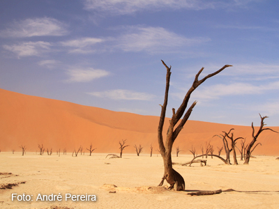 namibia (7)