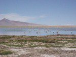 Deserto do Atacama