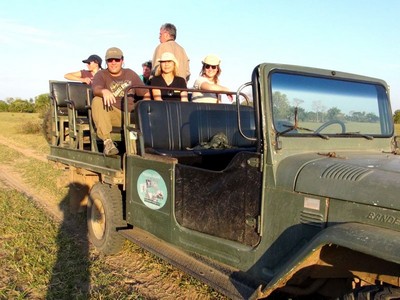 sandra peter ingrid no safari