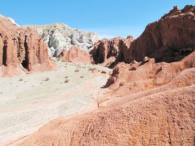 Atacama Erick - (209)